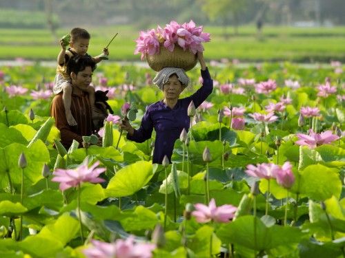 Đặt Xe TPHCM Đi Đồng Tháp